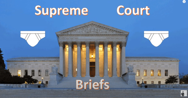 supreme court briefs